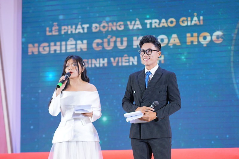 cá cược thể thao hul city